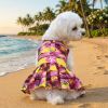 Hawaiian Sunset Harness Dress/Leash combo